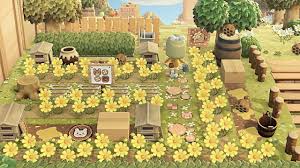 Eva S Eden In 2020 Animal Crossing Animal Crossing Wild World New Animal Crossing