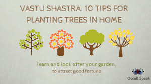 10 top tips to get your patio garden ready for this summer. 10 Secrets Tips For Planting Trees In Home As Per Vastu Shastra