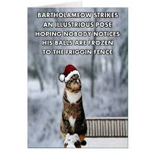 Funny Christmas Cat Holiday Card Zazzle Com Cat Christmas Cards Christmas Cats Funny Cat Christmas Cards