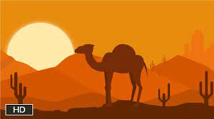 Испрати нешто интересно на mile@panika.be. Where Do Camels Store Water Youtube