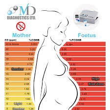 Co Pregnancy Guide Chart A6 100 Per Pack