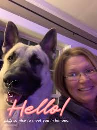 Meet Your Certified KonMari Consultant: Spark Joy with Organization!