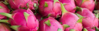 What color is dragon fruit?