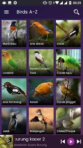 Check spelling or type a new query. Suara Burung Mp3 Untuk Android Apk Unduh