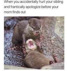 100 Memes Guaranteed To Make All Siblings Laugh Harder Than They Should Funny Relatable Memes Funny Animal Memes Funny Animal Jokes