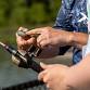 Fishing for the Eagles at the Bird Sanctuary