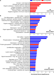 This website contains substances with their synthesis references and physical properties such as melting. Fibrillar Ab Triggers Microglial Proteome Alterations And Dysfunction In Alzheimer Mouse Models Biorxiv