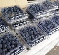 Blueberry Tray Box Filling Packaging Machine Automatic ...