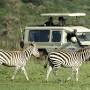 Vanessa's Travel and Tours from vanessaairtravel.co.ke