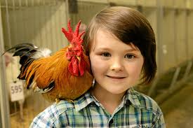 Bustling Rosewood Show a hit with families