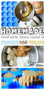 Homemade Frozen Banana Peanut Butter Coconut Oil Dog Treats Frozen Dog Treats Dog Treat Recipes Homemade Dog Food