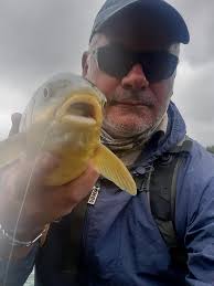 Someone visit for one or two rounds at Driekop Garagopola