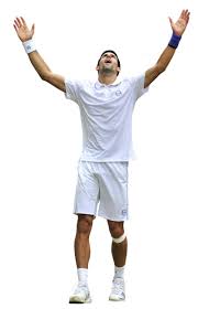 Logo hitam rf, 2003 wimbledon championships logo grand slam pemain tenis, roger federer, teks, monokrom, siluet png. Download Novak Djokovic Free Png Transparent Image And Clipart