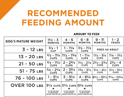 purina puppy chow food chart best picture of chart