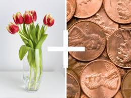 Check spelling or type a new query. How To Make Flowers Last Longer 8 Pro Tricks Flowers Last Longer How To Preserve Flowers Flower Making