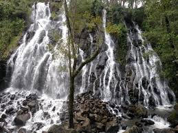 It rises some 340 feet above a beautiful river, and is the. The 10 Best Central Mexico And Gulf Coast Waterfalls With Photos Tripadvisor