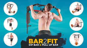 pull up bar with dip bars bar2fit