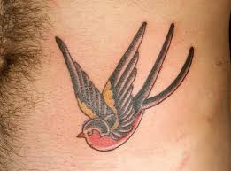 Swallow tattoos ideas & designs. 45 Bird Tattoos For Men And Women Inspirationseek Com