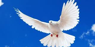 В 2021 году духов день по юлианскому календарю приходится на 21 июня — летнее. Duhov Den V 2019 Godu Kakogo Chisla Pravoslavnyj