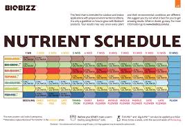 45 Unique Biobizz Schedule