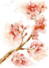 Watercolor Cherry Blossom Print Of My Watercolor Painting By Katrina Pete Coral Pink Cherry Blossom Branch Floral Wall Art Blossoms Art Cherry Blossom Art Cherry Blossom Watercolor