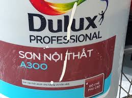 Thợ sơn nhà Dulux Kinh tế bao nhiêu tiền?