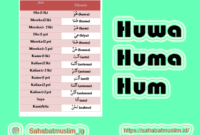We did not find results for: Huruf Hijaiyah Sambung Dan Pengertian Beserta Contohnya
