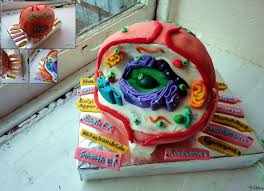 What can you do with an animal cell model? This Is Absolutely A Stunning Cake Art Meets Science Biology