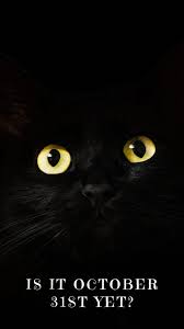 22 best halloween quotes and sayings with photos cat wallpaper black wallpaper black phone wallpaper