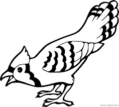 39+ blue jay coloring pages for printing and coloring. Very Easy Blue Jay Coloring Page Coloringall