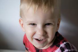 Photography tips for capturing dogs with a Nikon D3100