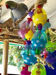 Easter Present Parrot Toys Bird Toys Egg Toys