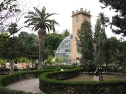 Il mondo verde di mariola. Piante Grasse Bild Von Jardin Botanico Valencia Tripadvisor