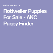 Rottweiler Puppies For Sale Akc Puppy Finder Rottweiler Puppies Rottweiler Puppies For Sale Rhodesian Ridgeback Puppies