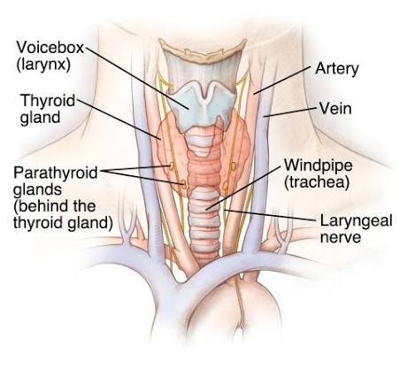 Specialist surgical team during a medical procedure