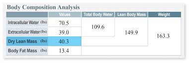 Understand The Inbody Result Sheet Inbody Usa