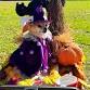 Fall Dog Parade & Costume Contest! event image
