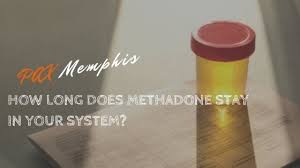 In this post, we show you how long meth can be detected, its effects on the body and the various types of meth screening. How Long Methadone Stays In Your System Pax Memphis Recovery