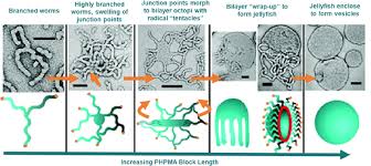 Polymer Colloids: Current Challenges, Emerging Applications, and New  Developments