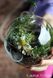 Shakespeare Terrarium Fun Family Crafts Terrarium Mini Terrarium Nature Activities