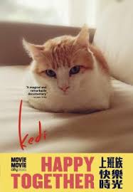 Kedi Movie Movie Happy Together Movie Broadway Circuit