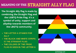 Meaning Of The Straight Ally Flag In 2020 Straight Ally Flag Straight Ally Ally