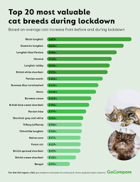 Farmers insurance locations & hours near london. The Price Of Pandemic Pets Gocompare