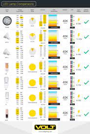 Everything To Know About Landscape Lighting Bulbs