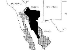 They are the largest cactus in the united states. Where Saguaros Grow Saguaro National Park U S National Park Service