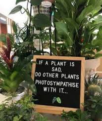 25 funny garden gnomes for your yard. Pin On Creative Ideas