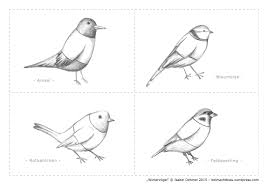 Mitmach Freebie Wintervogel Basteln Winter Basteltipps Winter