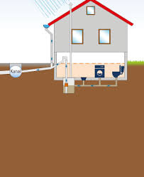 Mammary glands in canines nomenclature and drainage of the mammary glands in canines. Hausentwasserung Online Shop Benz24