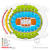 Concert Seat Number Concert Msg Seating Chart