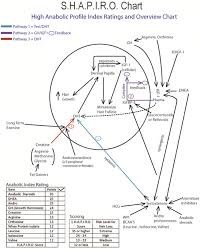 Low Anabolic Profile